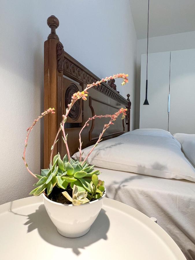 Sant'Antoni Apartments เทนโน ภายนอก รูปภาพ